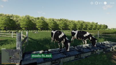 Карта с коровами для Farming Simulator 2019