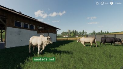 Cattle Breeds mod FS 19