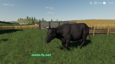 Мод на новые коровы для Farming Simulator 2019