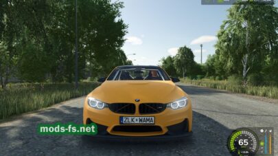 mods-fs.net-fs-22-13